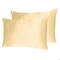 Homeroots 20 x 26 in. Pale Peach Dreamy Silky Satin Standard Size Pillowcases 387873 - alternate 9